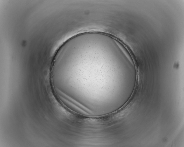 X0000091001500200708161927