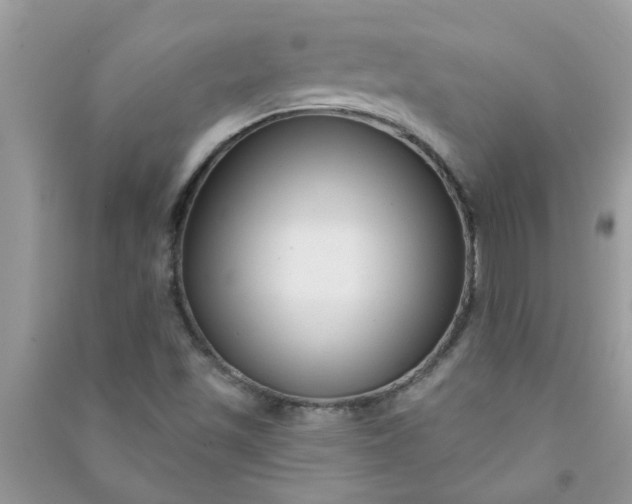 X0000091001501200708161927