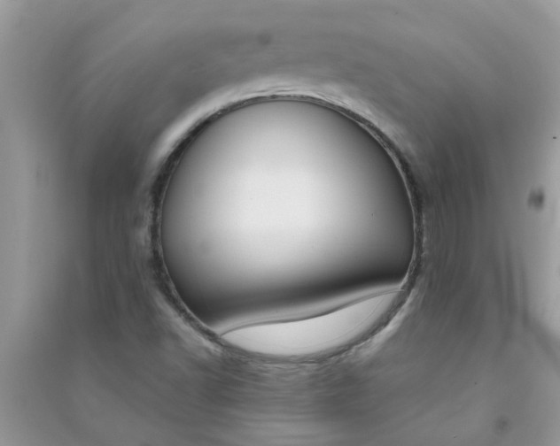 X0000091001502200708161927
