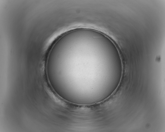 X0000091001503200708161927
