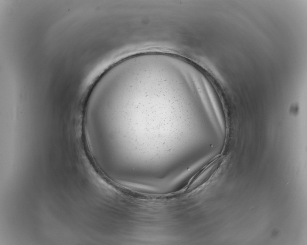 X0000091001504200708161927