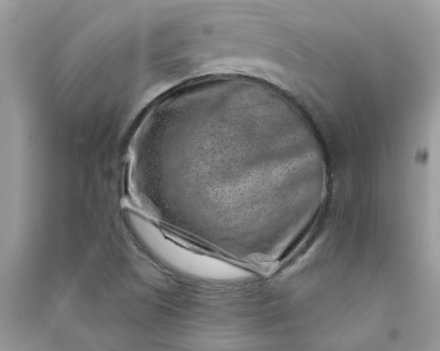 X0000091001505200708161927