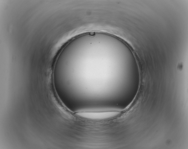 X0000091001507200708161927