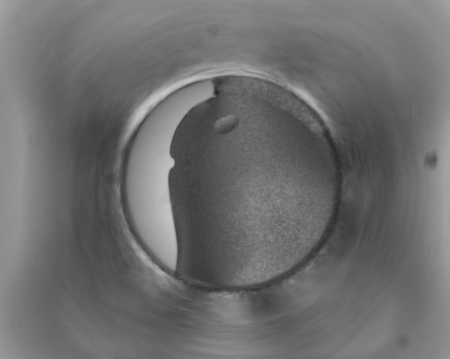 X0000091001508200708161927