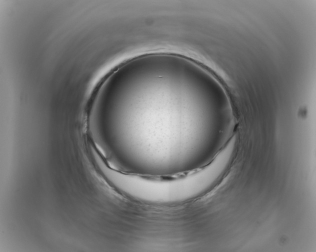 X0000091001510200708161927