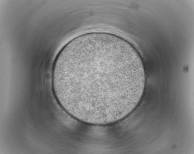X0000091001514200708161927