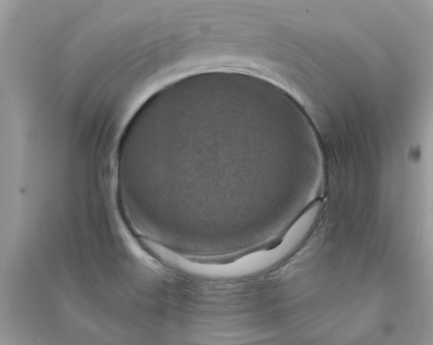 X0000091001515200708161927