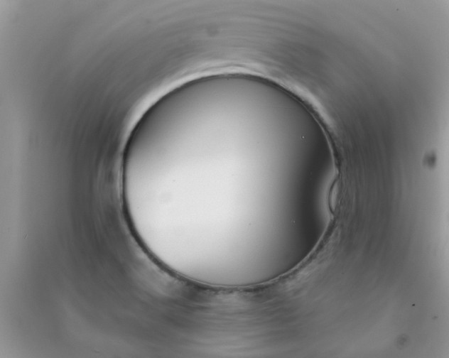 X0000091001516200708161927