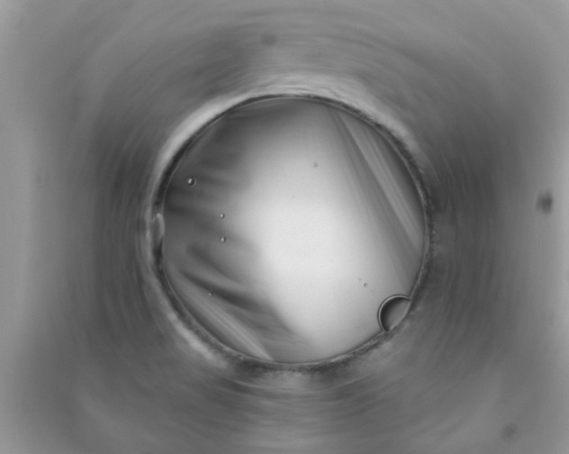 X0000091001517200708161927