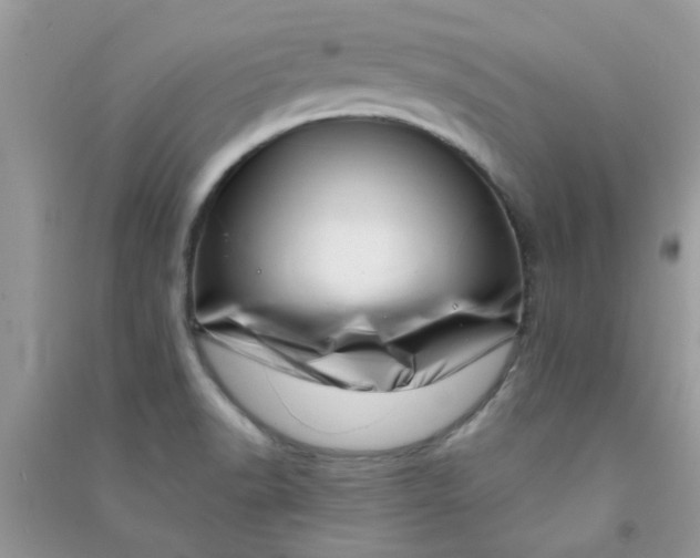 X0000091001518200708161927
