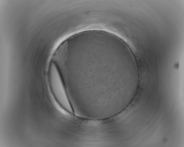 X0000091001519200708161927