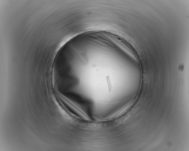 X0000091001521200708161927