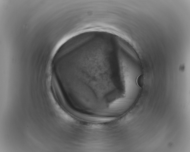 X0000091001522200708161927