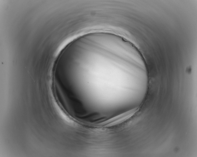 X0000091001523200708161927