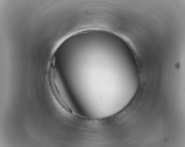 X0000091001524200708161927