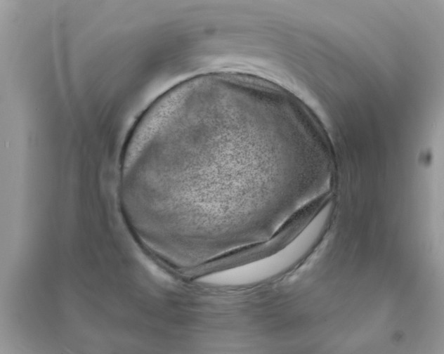 X0000091001525200708161927