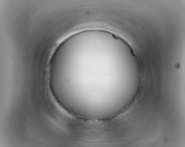 X0000091001526200708161927