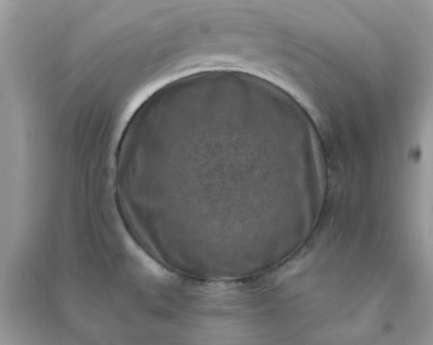 X0000091001527200708161927