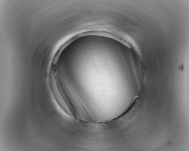 X0000091001528200708161927