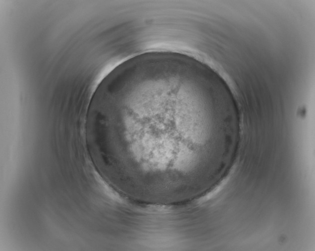X0000091001529200708161927