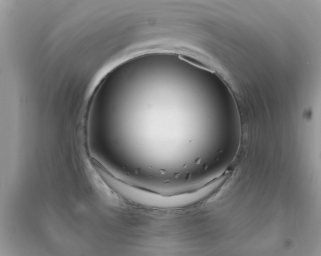 X0000091001530200708161927