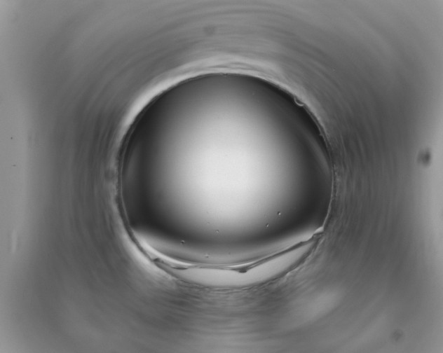 X0000091001531200708161927