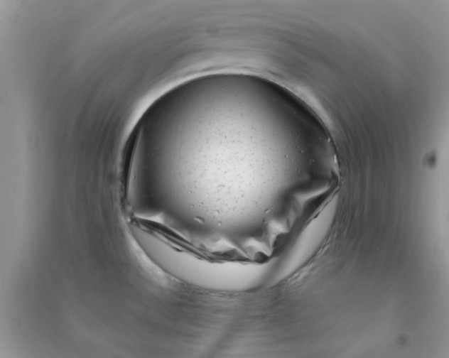 X0000091001532200708161927