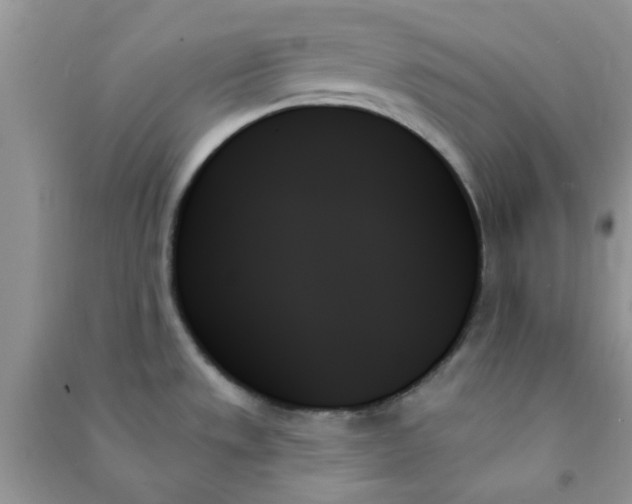 X0000091001533200708161927