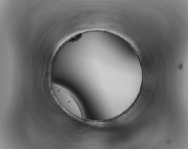 X0000091001534200708161927