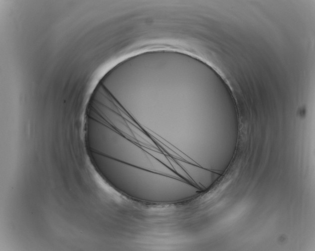 X0000091001535200708161927
