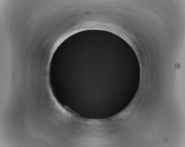 X0000091001536200708161927