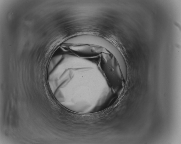 X0000091000001200708241500