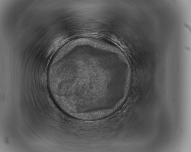 X0000091000002200708241500