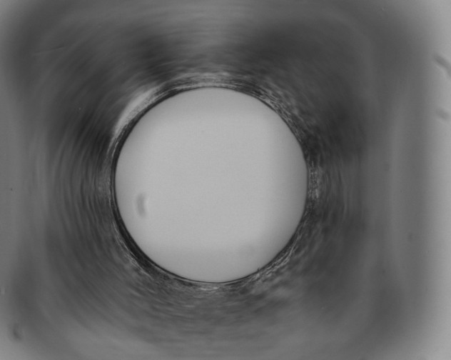 X0000091000004200708241500