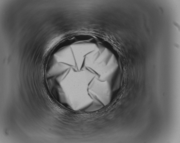 X0000091000005200708241500