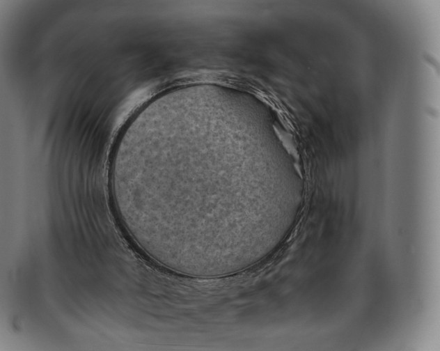 X0000091000006200708241500