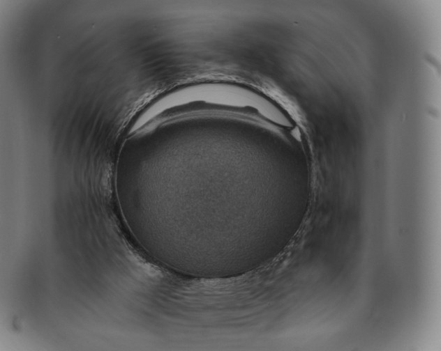 X0000091000009200708241500