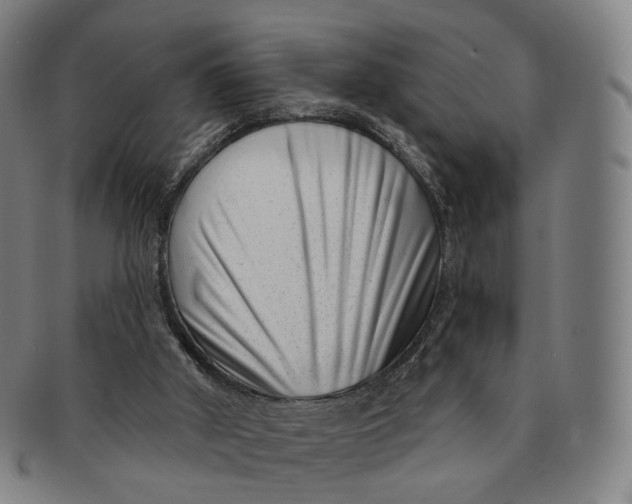 X0000091000010200708241500