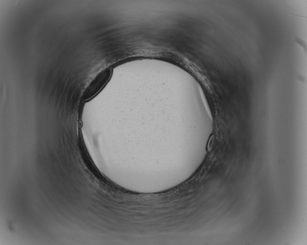 X0000091000011200708241500