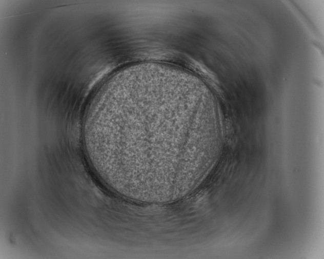 X0000091000012200708241500