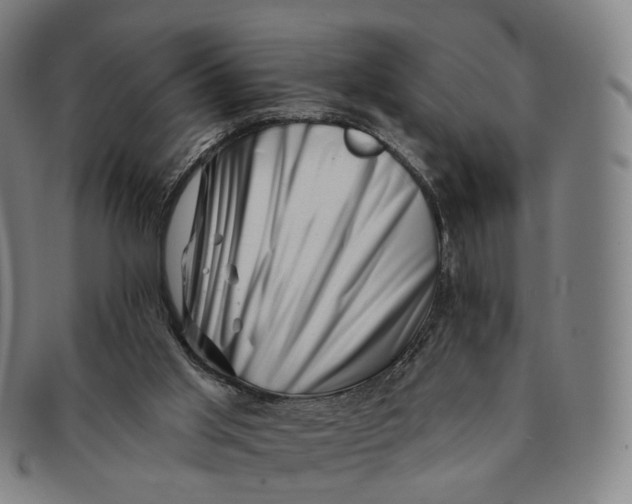 X0000091000013200708241500