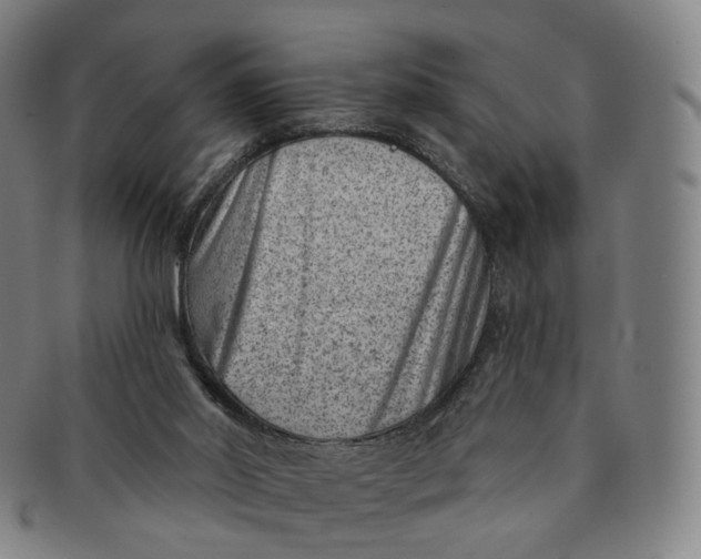 X0000091000014200708241500