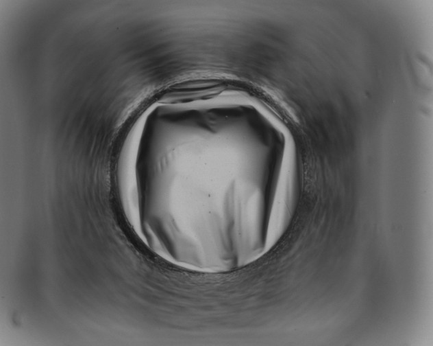 X0000091000015200708241500