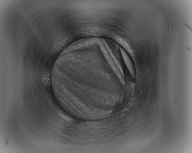 X0000091000017200708241500