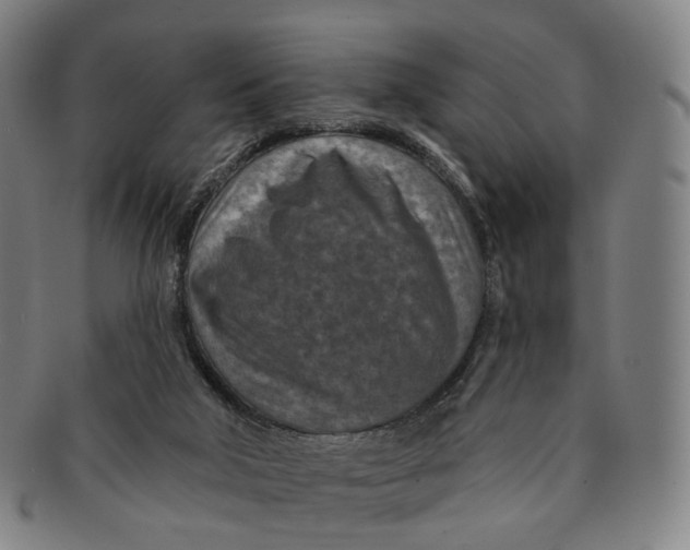 X0000091000018200708241500