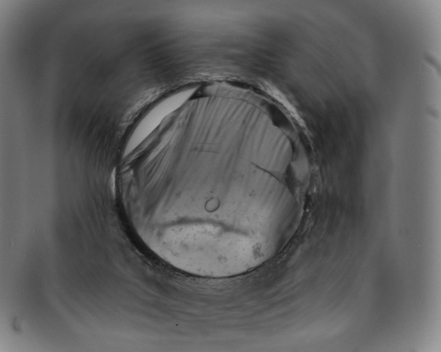 X0000091000019200708241500