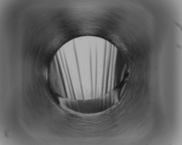 X0000091000021200708241500