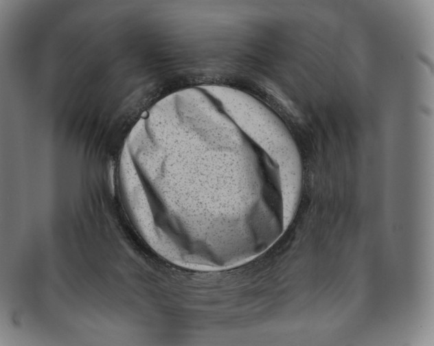 X0000091000022200708241500