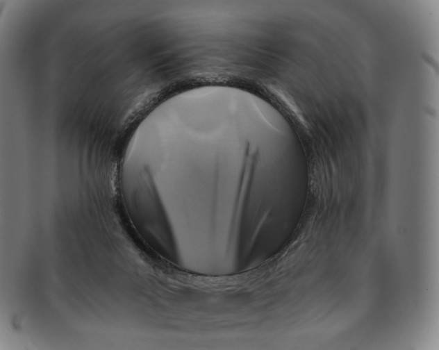 X0000091000023200708241500