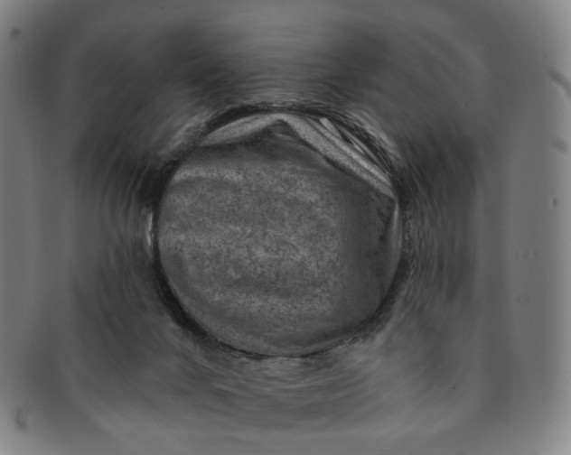 X0000091000024200708241500